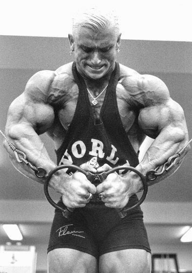 Напосим курс для массы